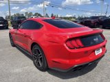 Used 2021 Ford Mustang GT image 4