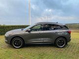 Used 2024 Ford Escape ST-Line Elite image 4