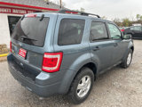 Used 2011 Ford Escape XLT w/ 202A Rapid Spec Order Code image 3