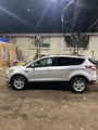 Used 2017 Ford Escape SE w/ Equipment Group 201A image 2