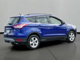 Used 2015 Ford Escape SE w/ Equipment Group 201A image 3