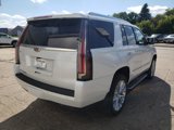 Used 2020 Cadillac Escalade Luxury image 5