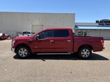 Used 2015 Ford F150 XLT w/ Equipment Group 302A Luxury image 2