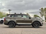 Used 2022 Kia Telluride SX image 4