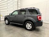 Used 2008 Ford Escape XLT image 4