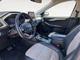 Used 2022 Ford Escape Titanium image 2