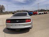 Used 2019 Ford Mustang Coupe w/ Wheel & Stripe Package image 4