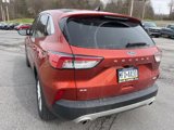 Used 2020 Ford Escape SE image 5