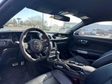 Used 2016 Ford Mustang Premium w/ Equipment Group 201A image 4