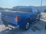 Used 2014 Ford F150 XLT w/ Equipment Group 302A Luxury image 6