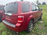 Used 2011 Ford Escape Limited w/ 301A Rapid Spec Order Code image 4