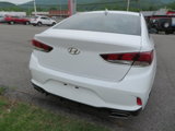 Used 2018 Hyundai Sonata Sport w/ Cargo Package image 4