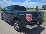 Used 2013 Ford F150 XLT w/ Luxury Equipment Group image 5