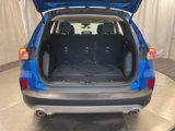 Used 2020 Ford Escape SE image 6