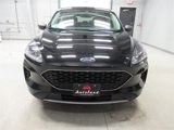 Used 2022 Ford Escape SE w/ Convenience Package image 2