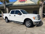 Used 2013 Ford F150 XLT w/ XLT Chrome Pkg image 2