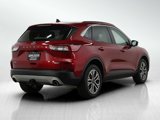 Used 2020 Ford Escape SEL image 5