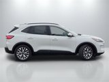 Used 2020 Ford Escape Titanium image 4