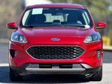 Used 2020 Ford Escape SE image 3
