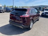 Used 2020 Ford Edge SEL image 6