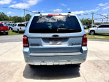 Used 2008 Ford Escape FWD image 6