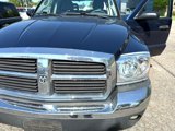 Used 2005 Dodge Dakota SLT image 4