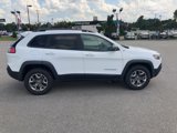 Used 2019 Jeep Cherokee Trailhawk w/ Cold Weather Group image 5