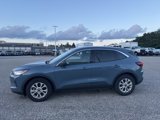 Used 2023 Ford Escape Active w/ Cold Weather Package image 4