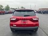 Used 2022 Ford Escape SE w/ SE Sport Appearance Package image 4