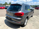 Used 2014 Volkswagen Tiguan SE image 5