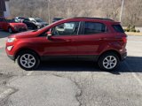 Used 2019 Ford EcoSport SE w/ SE Convenience Package image 4