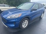 Used 2022 Ford Escape SE w/ Convenience Package image 4