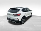 Certified 2022 Ford Escape SEL image 4