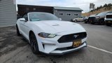 Used 2023 Ford Mustang Premium image 4