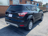 Used 2017 Ford Escape SE w/ SE Cold Weather Package image 5