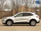 Used 2020 Ford Escape SE image 4