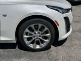Certified 2022 Cadillac CT5 Premium Luxury image 2