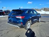 Used 2020 Ford Escape SE image 6