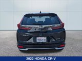Used 2022 Honda CR-V Special Edition image 4