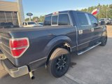 Used 2014 Ford F150 XLT w/ Equipment Group 302A Luxury image 2
