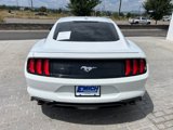 Used 2023 Ford Mustang Premium image 4
