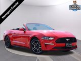 Used 2023 Ford Mustang Premium image 1