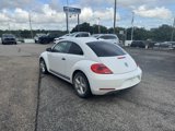 Used 2012 Volkswagen Beetle 2.5 image 4