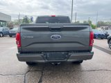 Used 2016 Ford F150 XLT w/ Equipment Group 302A Luxury image 5