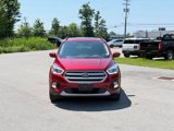 Used 2019 Ford Escape SEL image 2