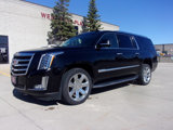 Used 2019 Cadillac Escalade ESV Luxury image 2