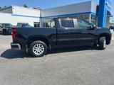Used 2019 Chevrolet Silverado 1500 LT w/ All-Star Edition image 4
