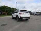 Used 2020 Ford Escape SE Sport image 4