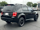 Used 2011 Ford Escape XLT w/ 202A Rapid Spec Order Code image 5