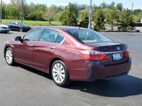Used 2014 Honda Accord EX-L image 4